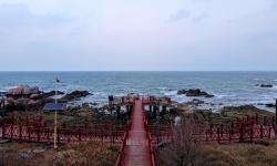 Featured image of post Markdown 学习记录