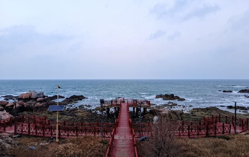 Featured image of post Markdown 学习记录